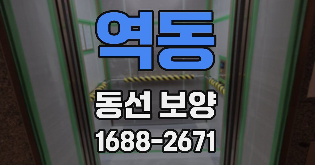 역동 동선 보양