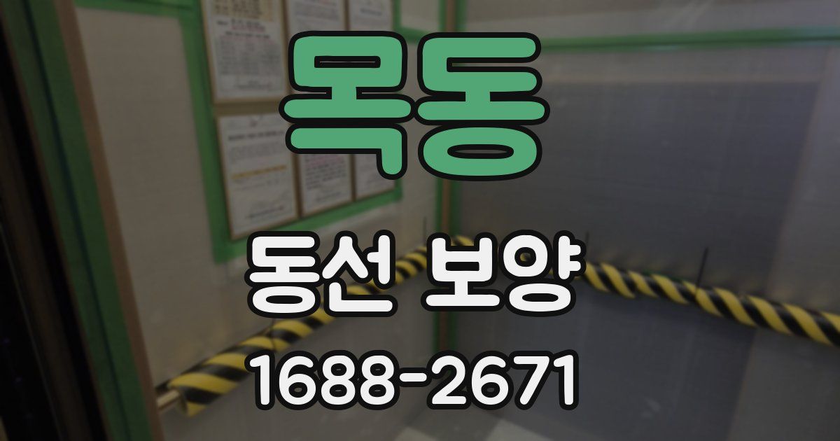 목동 동선 보양