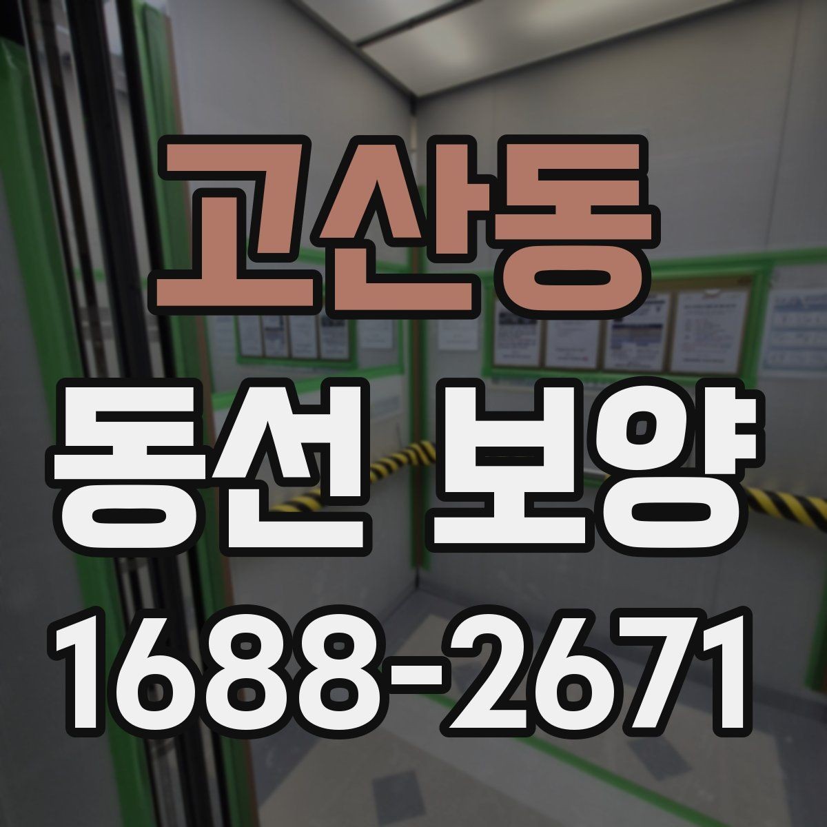 고산동 동선 보양 작업 전 환경 정리와 준비 요령
