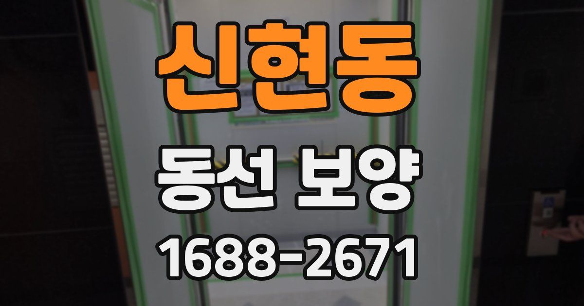 신현동 동선 보양