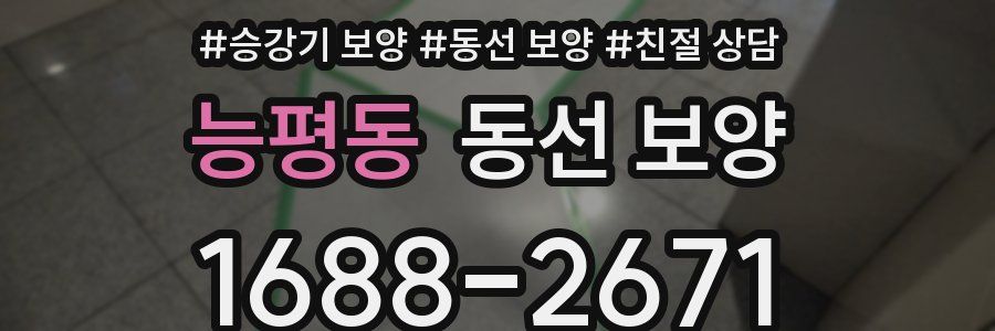 능평동 동선 보양