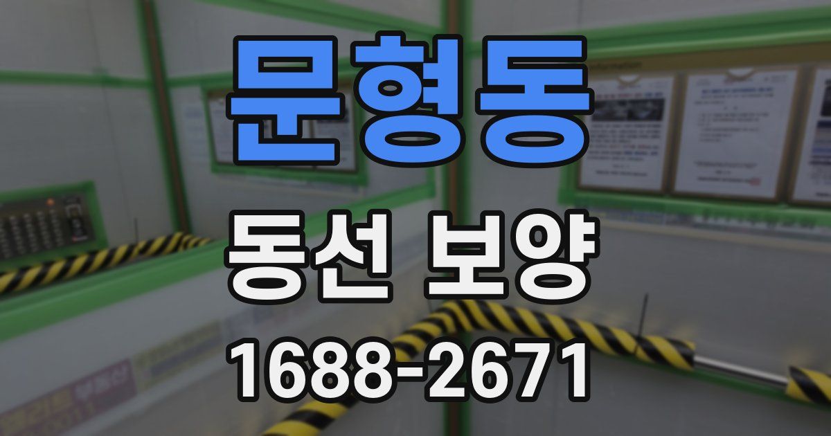 문형동 동선 보양