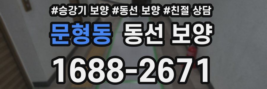 문형동 동선 보양