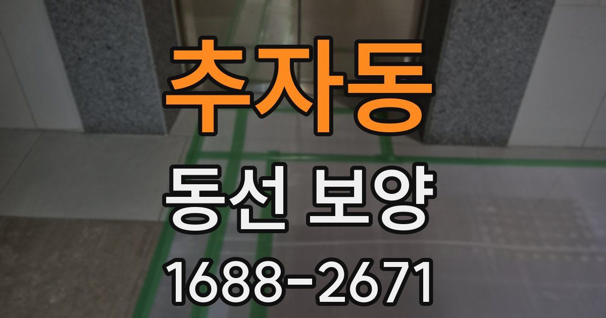 추자동 동선 보양