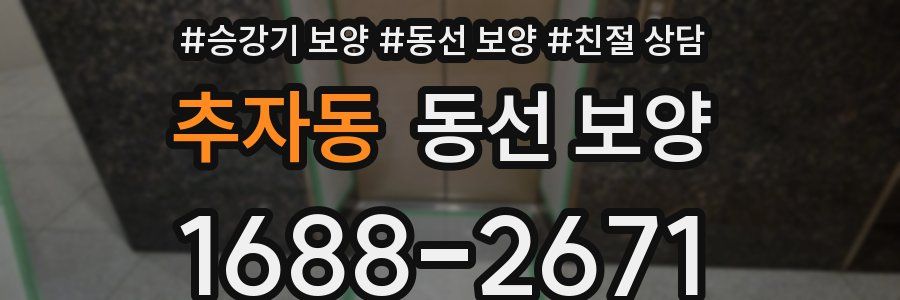 추자동 동선 보양