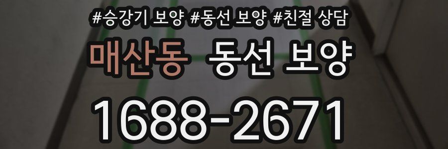 매산동 동선 보양