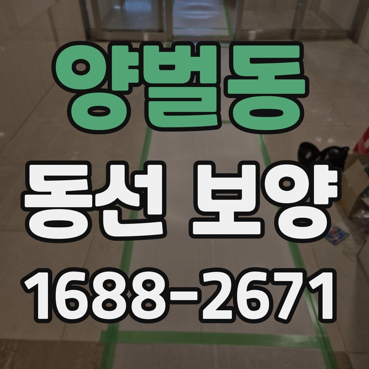 양벌동 동선 보양 적용 범위를 정하는 실무 기준