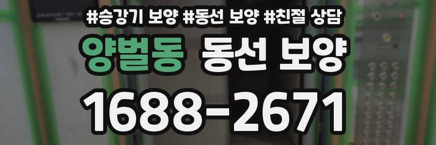 양벌동 동선 보양