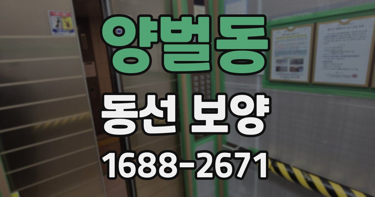 양벌동 동선 보양