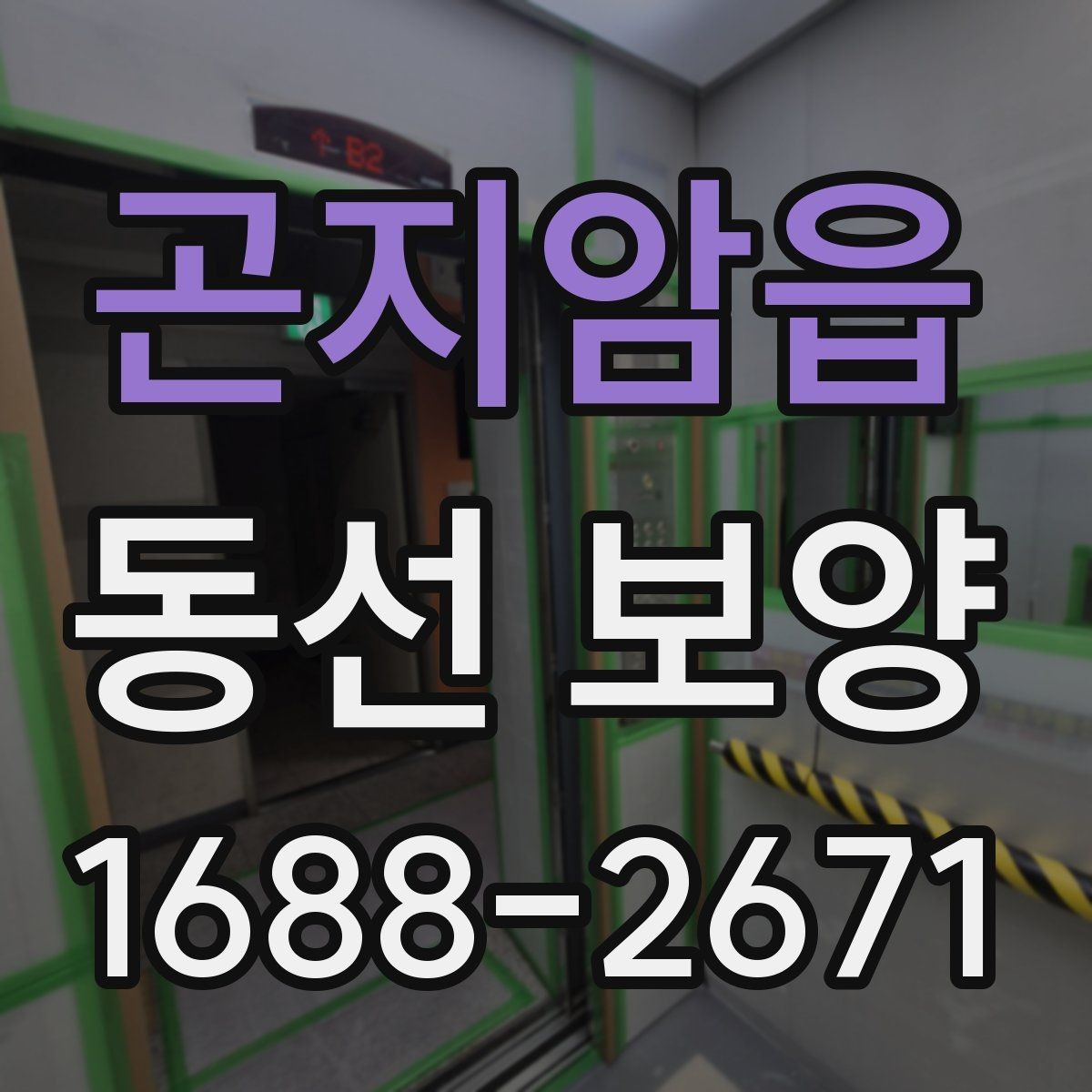 곤지암읍 동선 보양 시공을 맡기기 전 비교 포인트