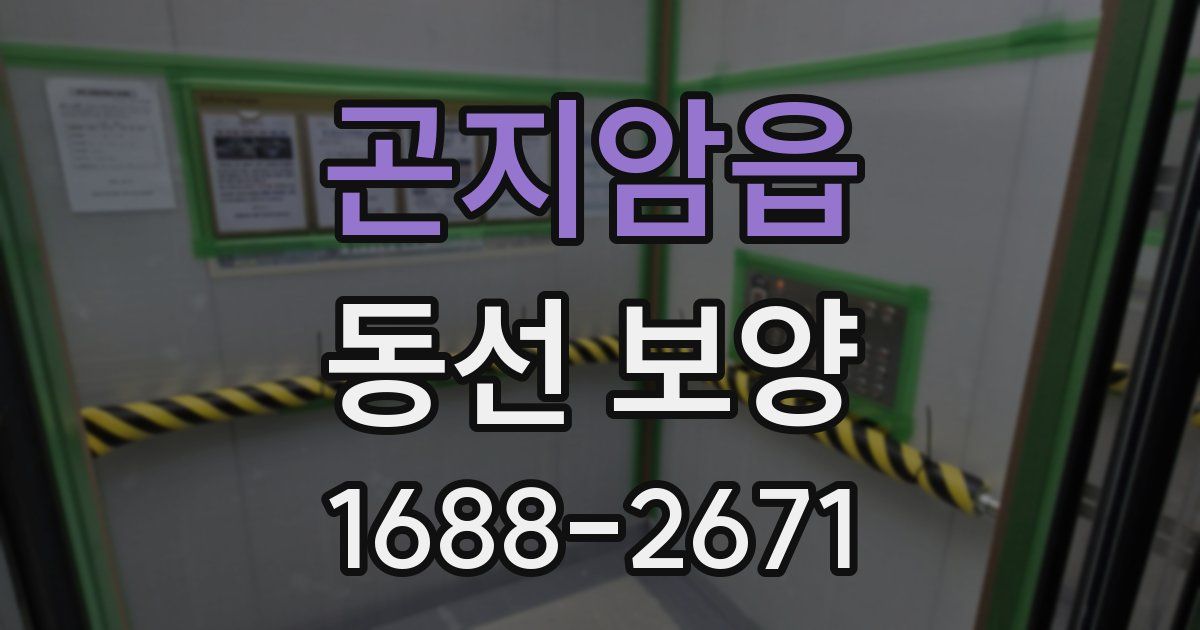 곤지암읍 동선 보양