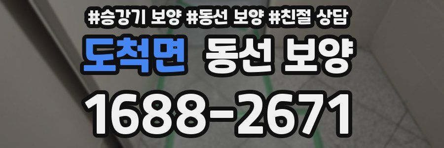 도척면 동선 보양