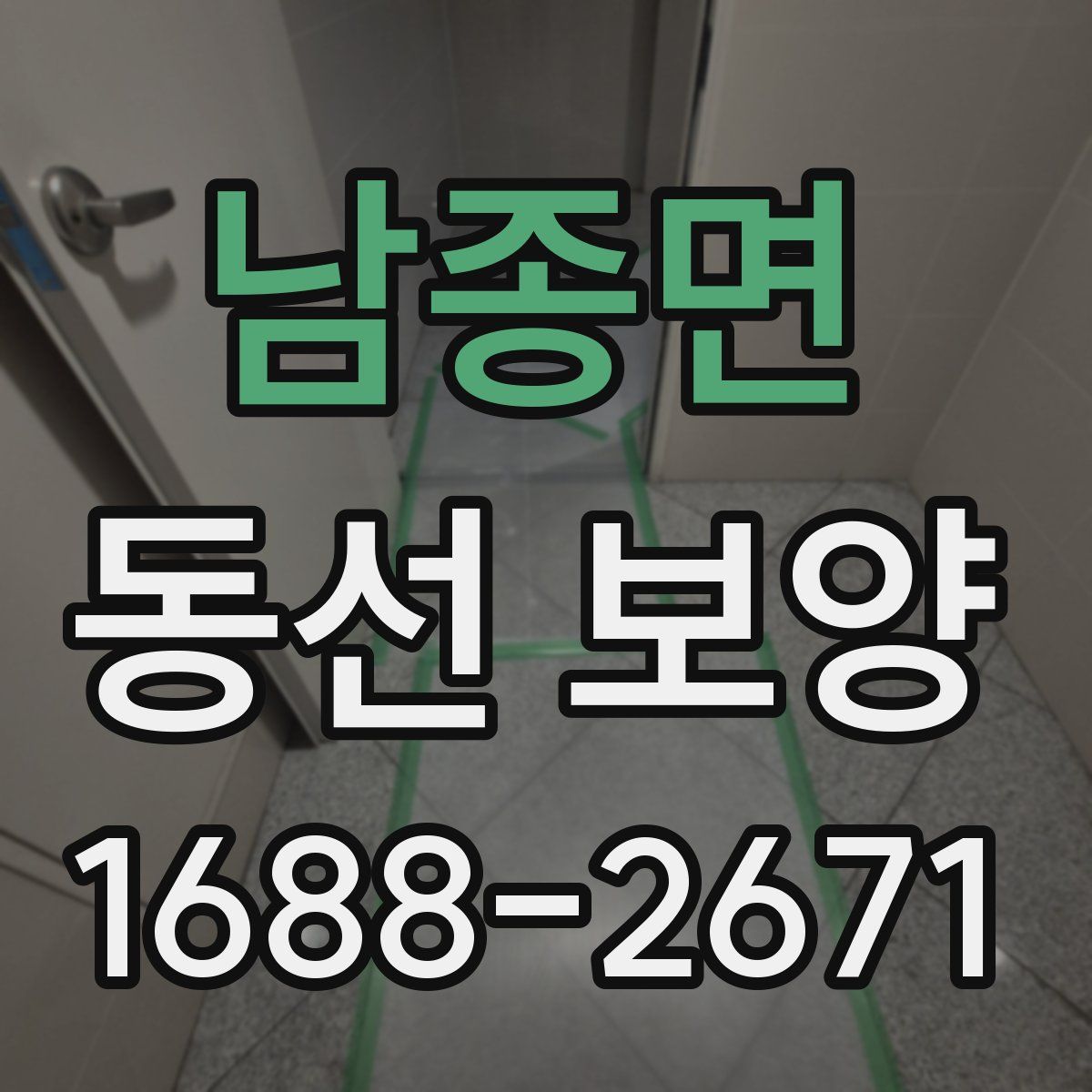 남종면 동선 보양