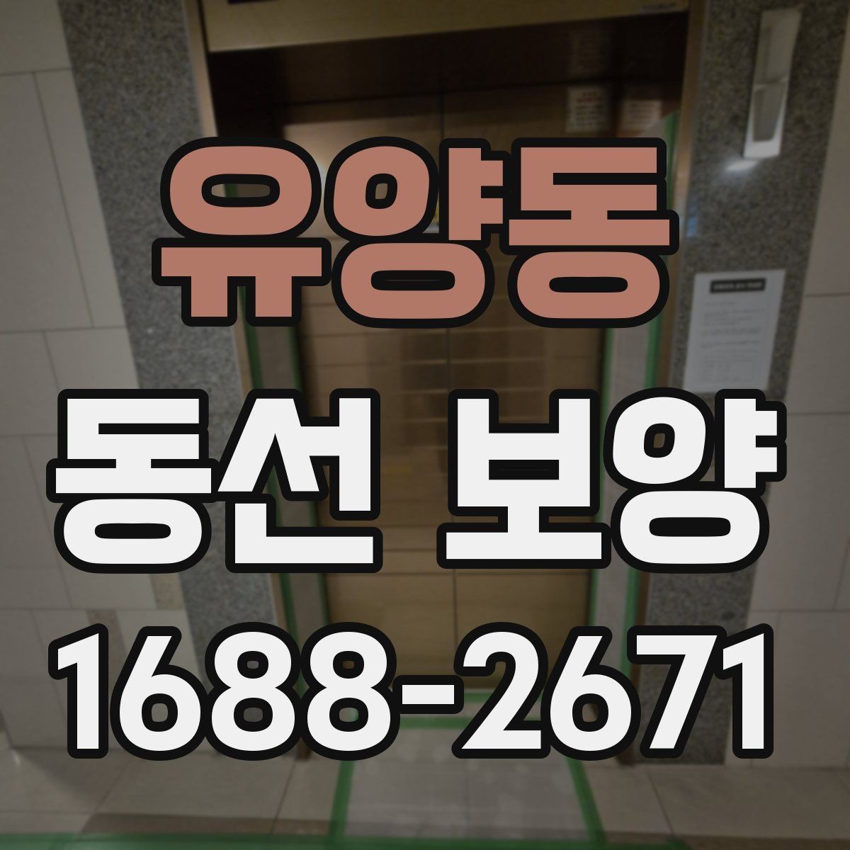 유양동 동선 보양 시공 사례로 보는 준비 과정