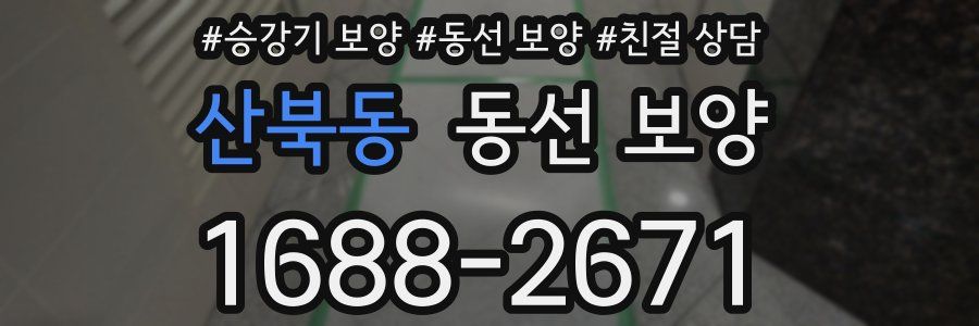 산북동 동선 보양