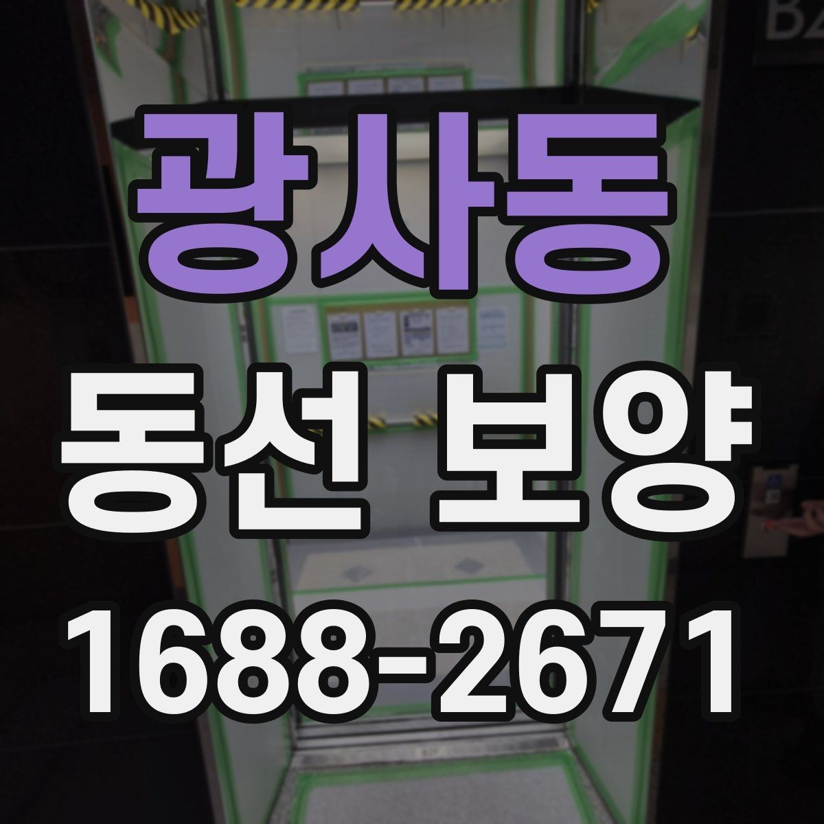 광사동 동선 보양 선택 전 확인하면 좋은 기준