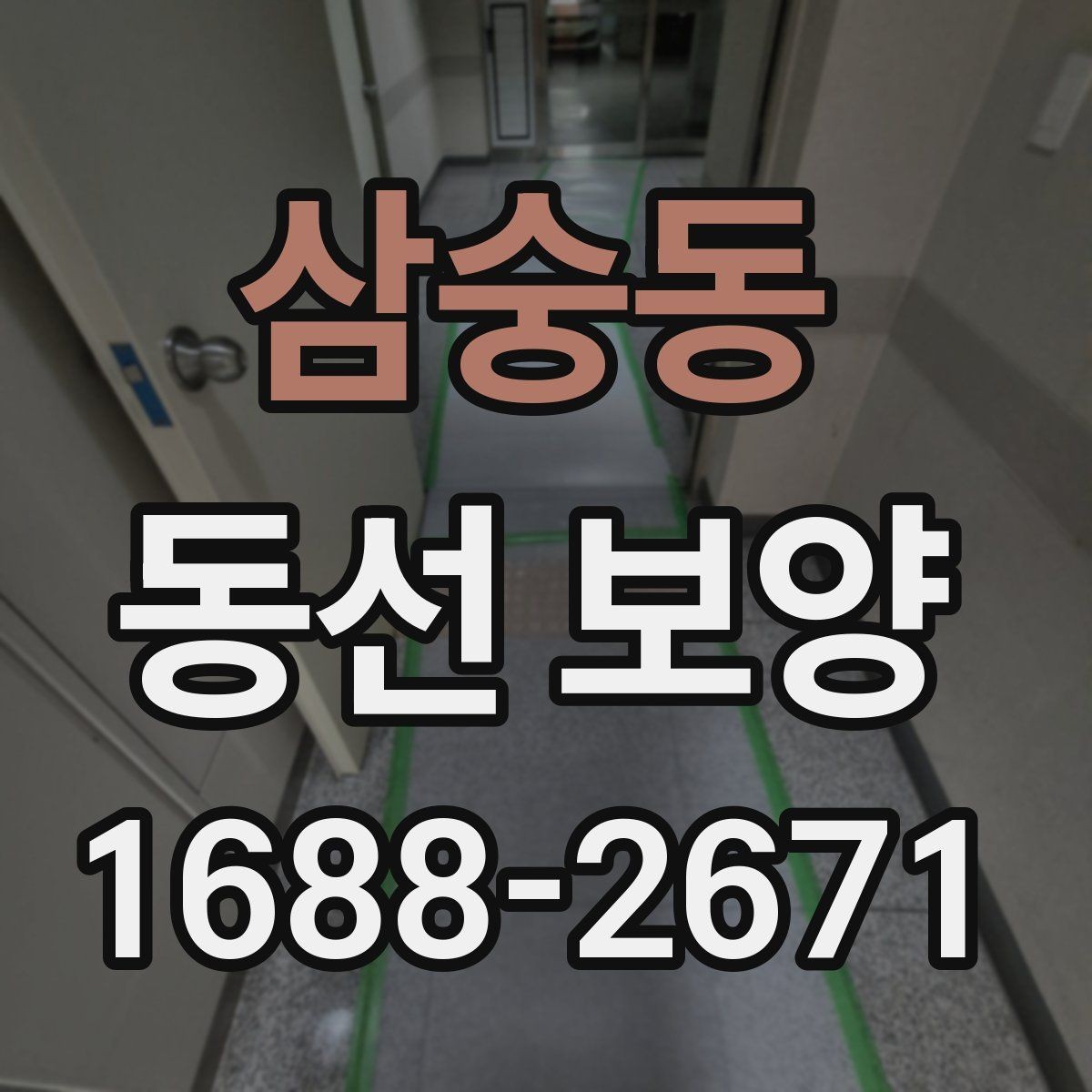 삼숭동 동선 보양 비교 시 살펴봐야 할 차이점