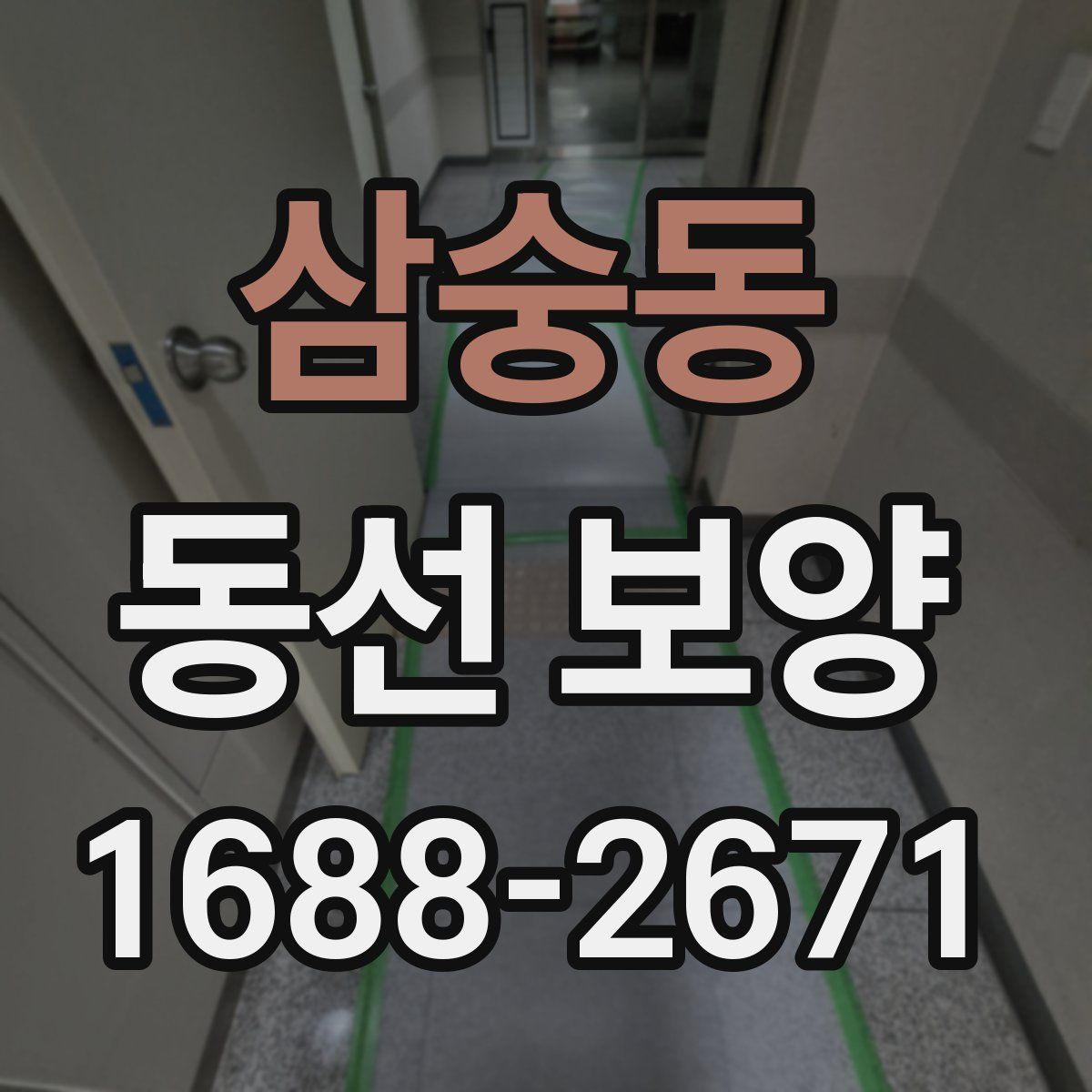삼숭동 동선 보양