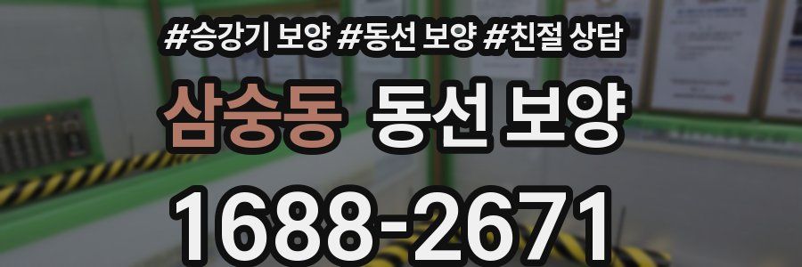 삼숭동 동선 보양