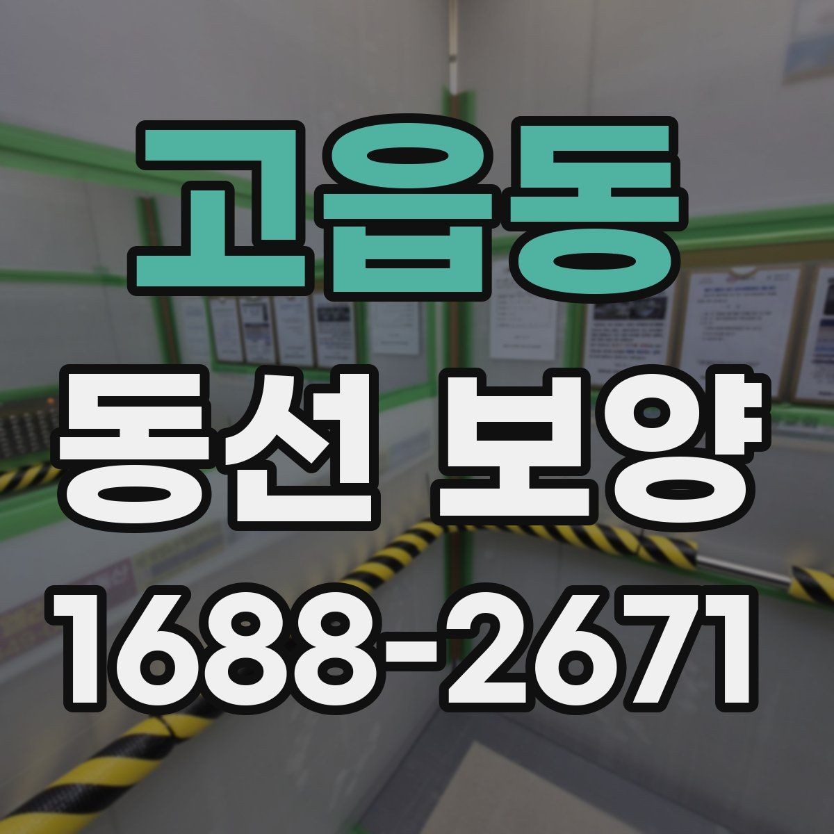 고읍동 동선 보양 현장에서 자주 사용하는 방법들