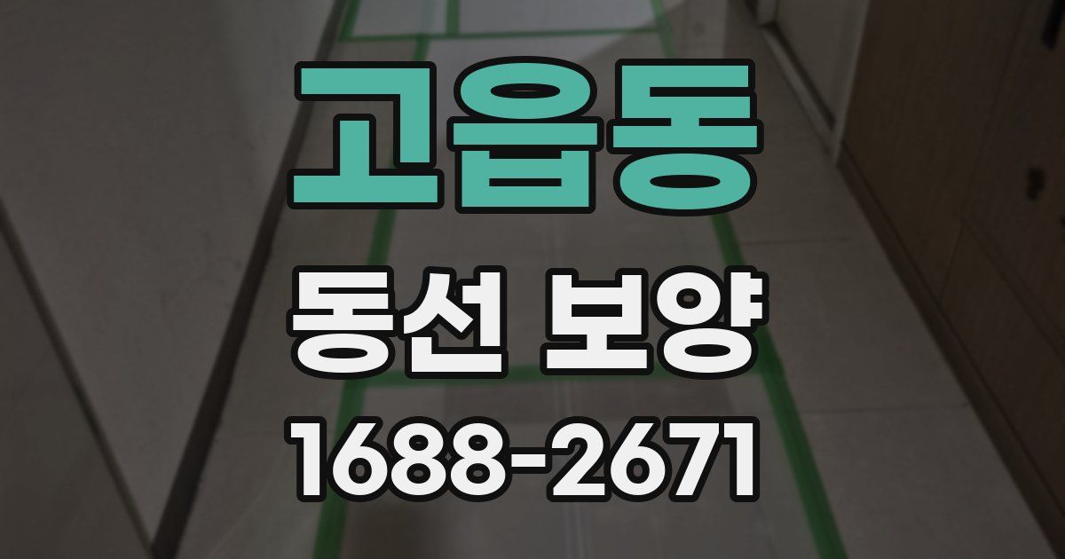 고읍동 동선 보양