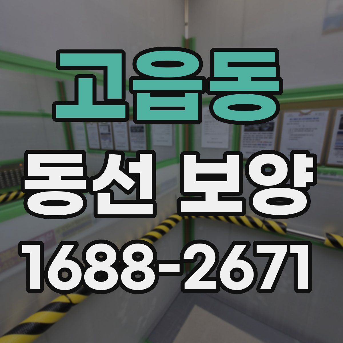 고읍동 동선 보양