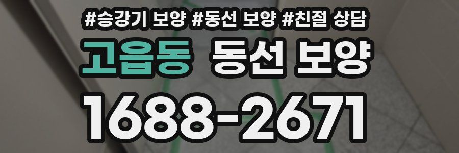 고읍동 동선 보양