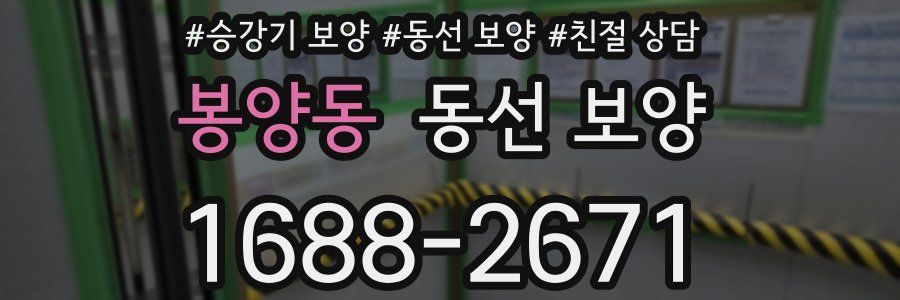 봉양동 동선 보양