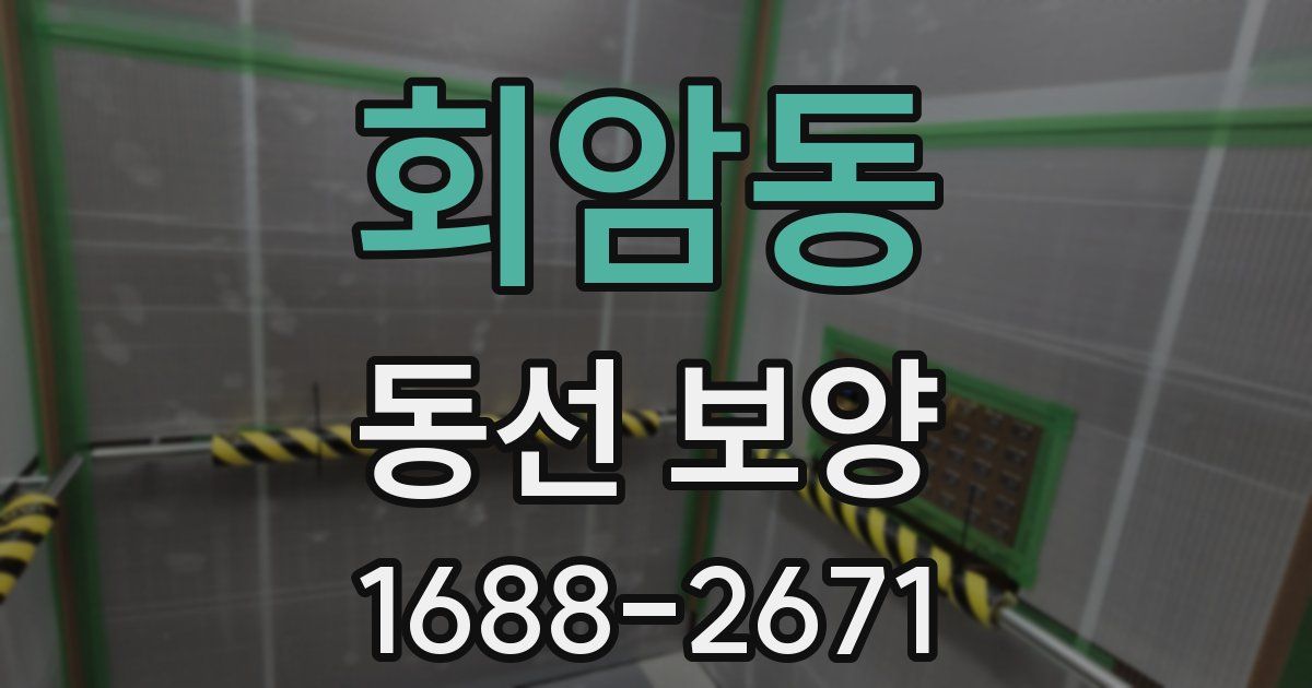 회암동 동선 보양