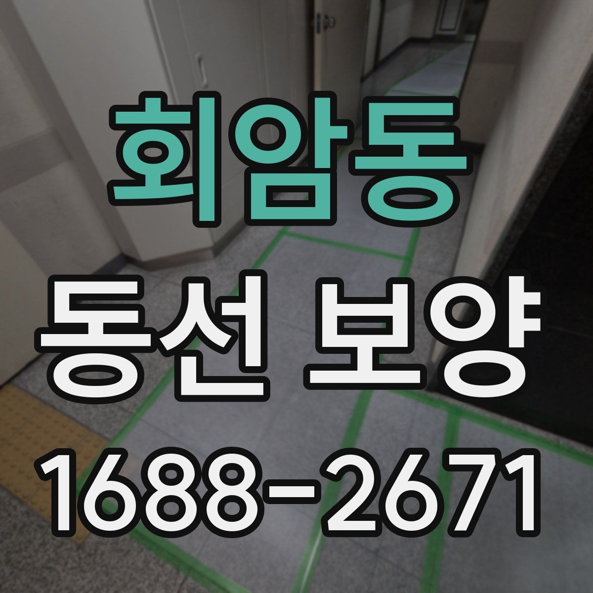 회암동 동선 보양