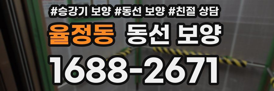 율정동 동선 보양
