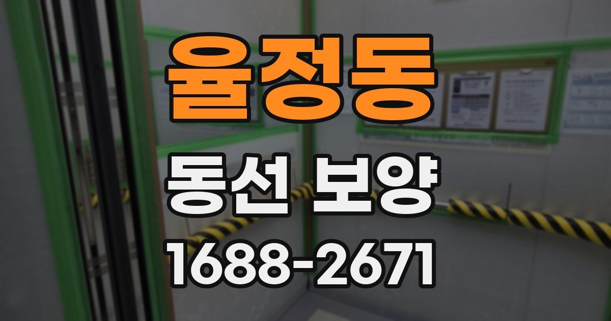 율정동 동선 보양
