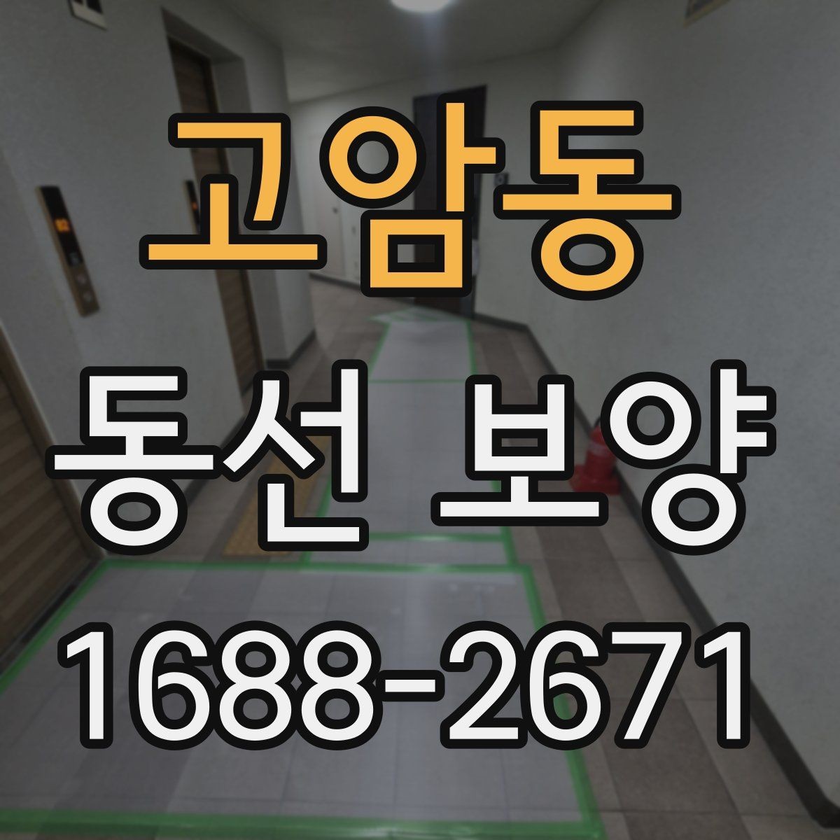 고암동 동선 보양 현장에 맞는 일정 조율 방법