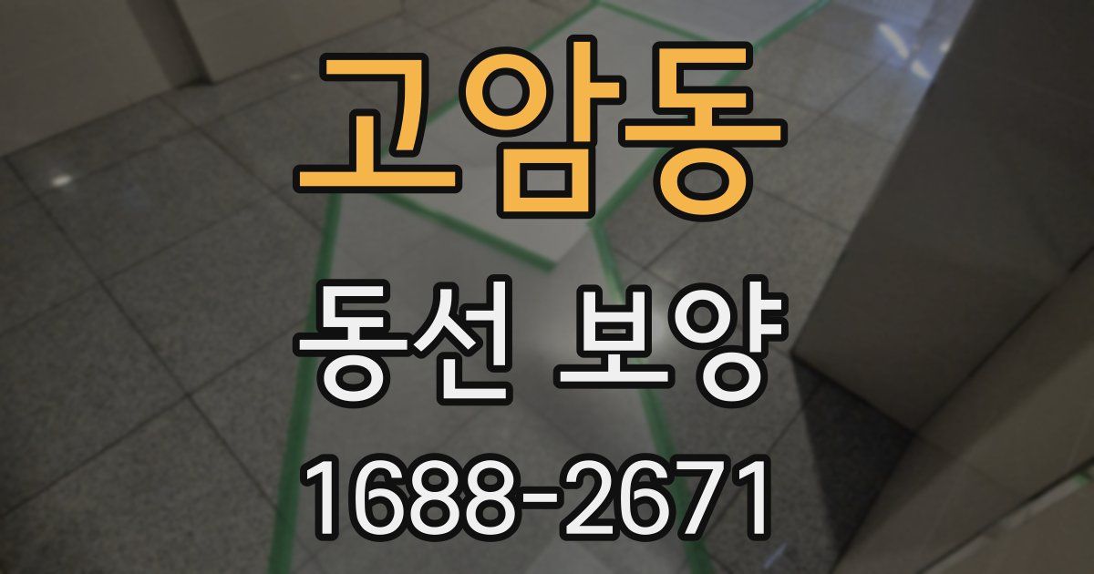 고암동 동선 보양