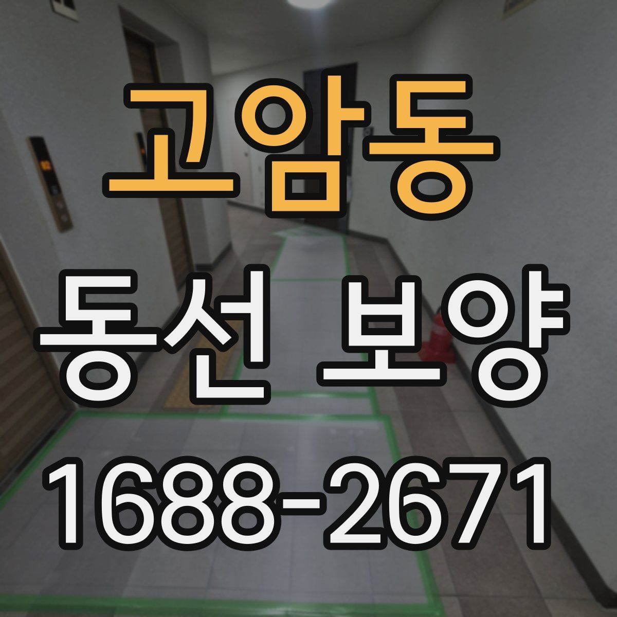 고암동 동선 보양