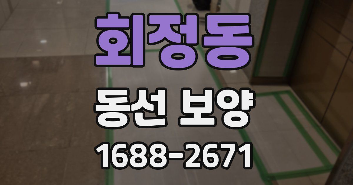 회정동 동선 보양