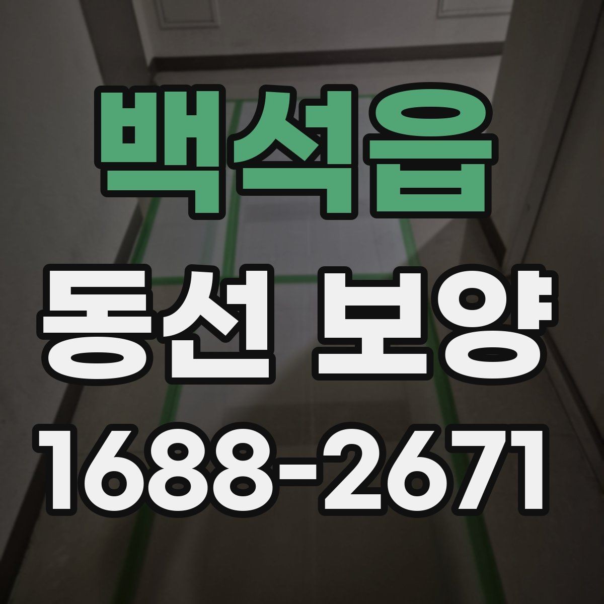백석읍 동선 보양 비용 계산 전에 확인할 부분