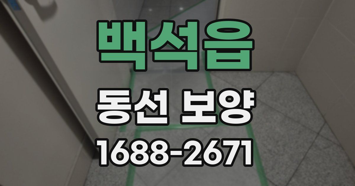 백석읍 동선 보양