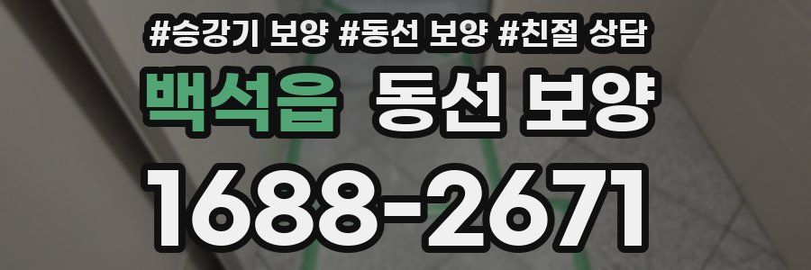 백석읍 동선 보양