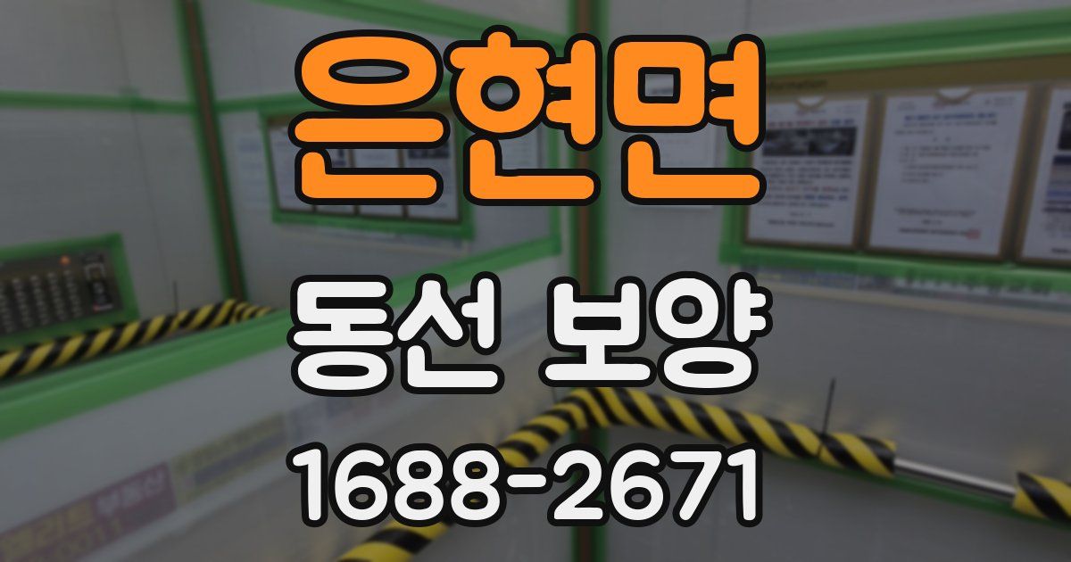 은현면 동선 보양