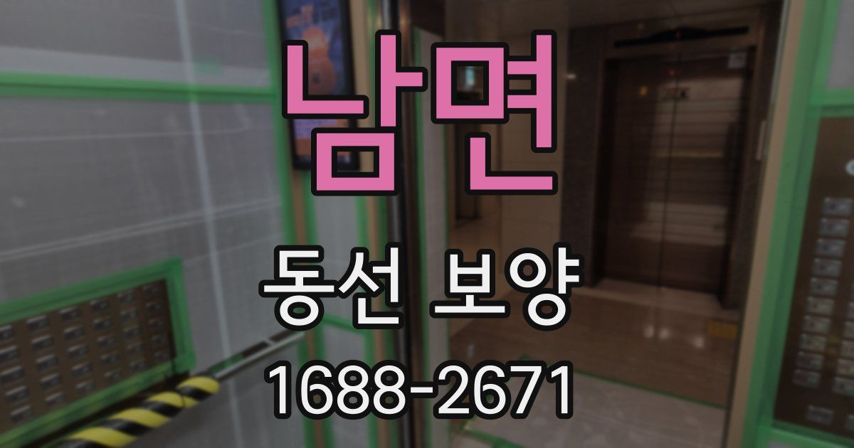 남면 동선 보양