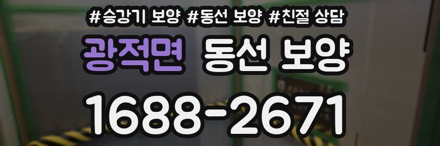 광적면 동선 보양