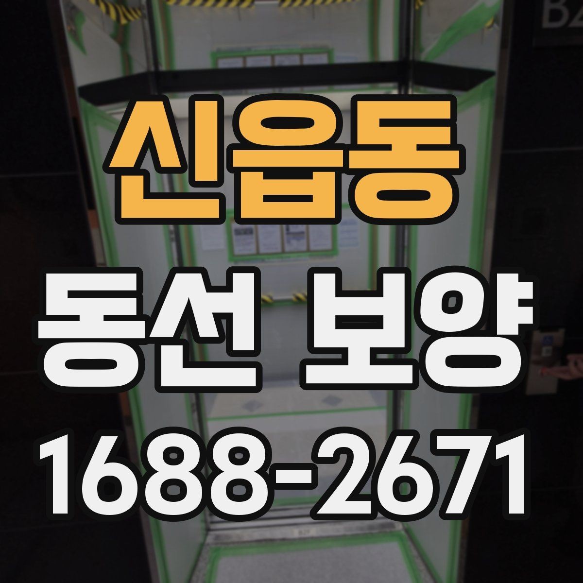 신읍동 동선 보양 공정에서 누락하기 쉬운 단계