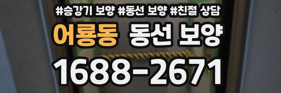 어룡동 동선 보양