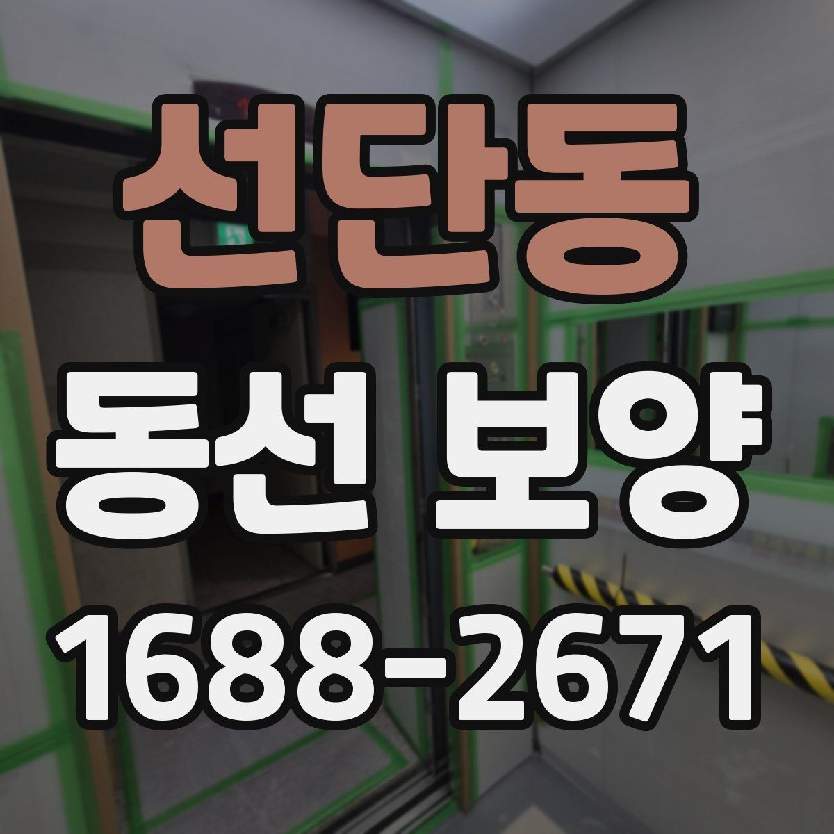 선단동 동선 보양 계획을 세울 때 빠뜨리기 쉬운 부분