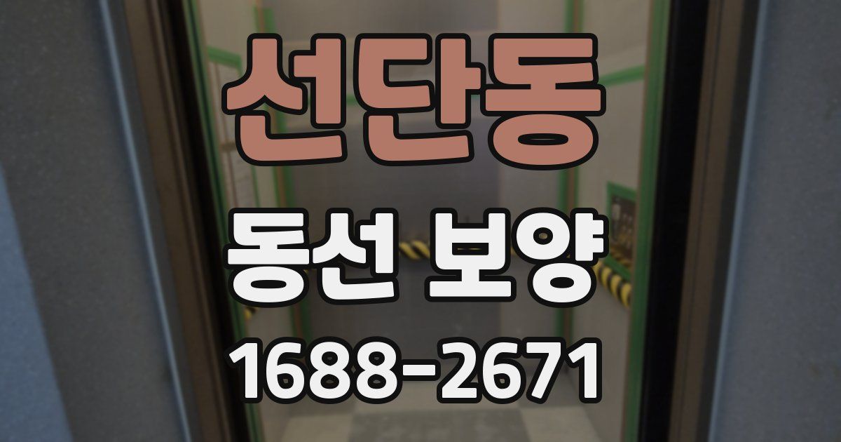 선단동 동선 보양