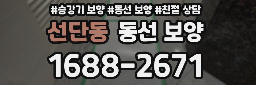 선단동 동선 보양