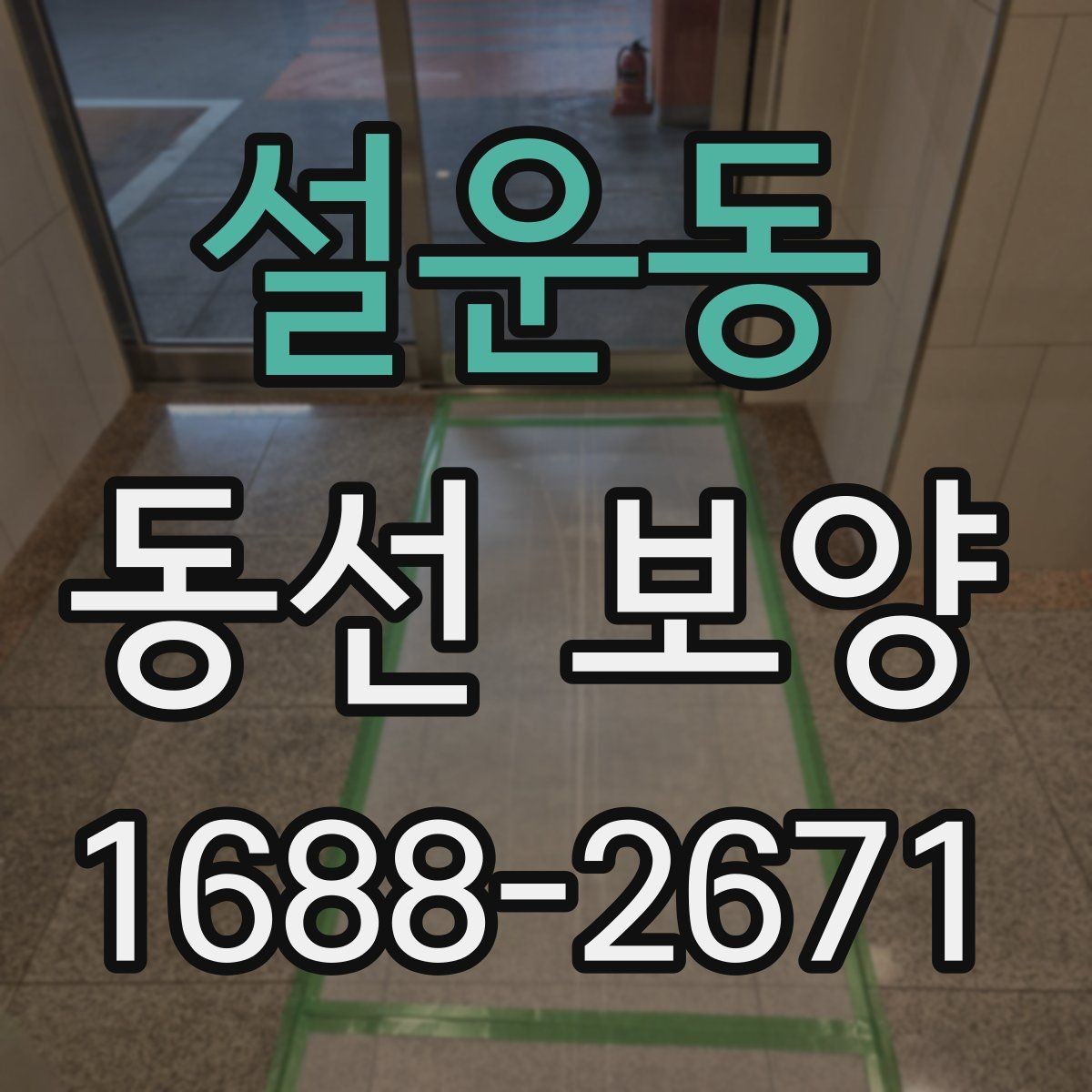 설운동 동선 보양 업체를 고를 때 살펴볼 기준