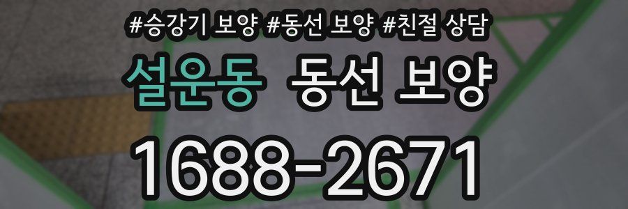 설운동 동선 보양