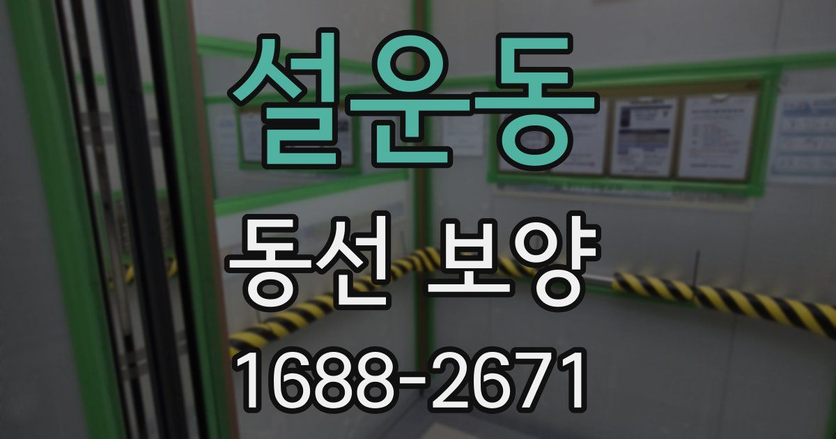 설운동 동선 보양